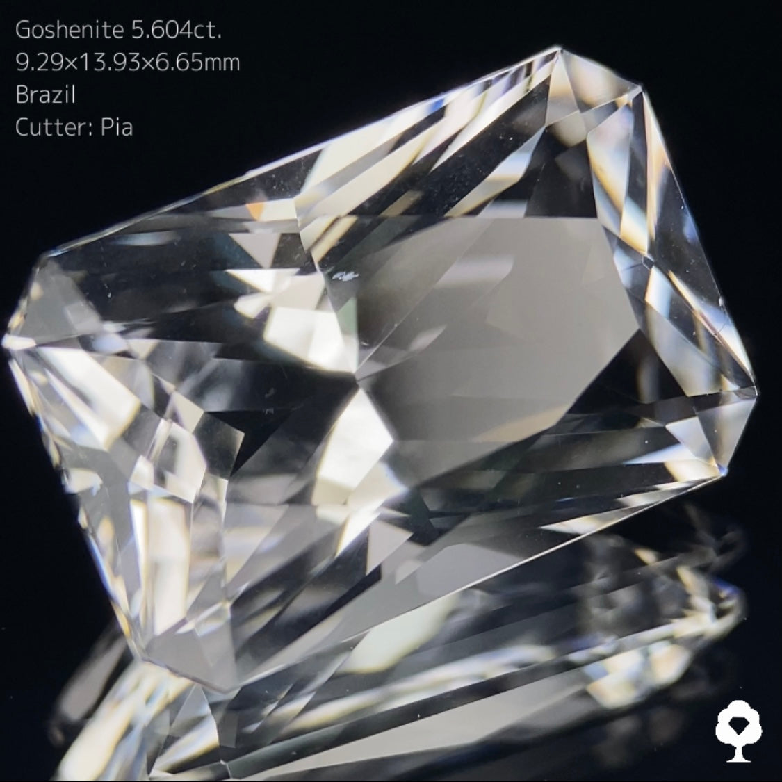 【5/5 21時終了】ZB 7枚迄使用可能【GWオークション③】ゴッシェナイト 5.604ct