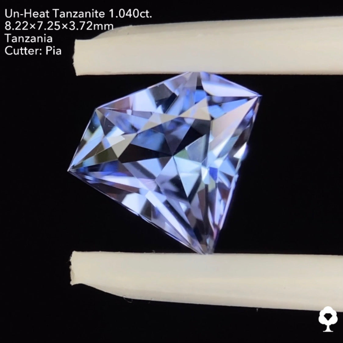 非加熱タンザナイト1.040ct. 宝石形 ピアッちゃん作品