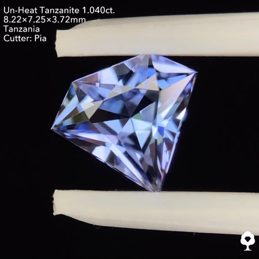 非加熱タンザナイト1.040ct. 宝石形 ピアッちゃん作品