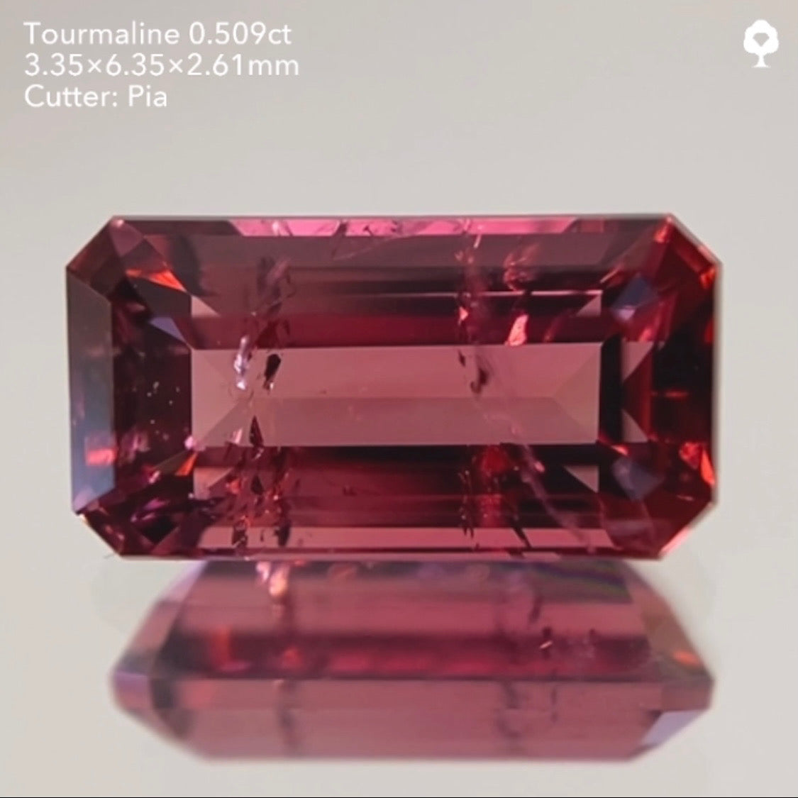 【サイレン配信逆オークション】トルマリン0.509ct ピアッちゃん作品