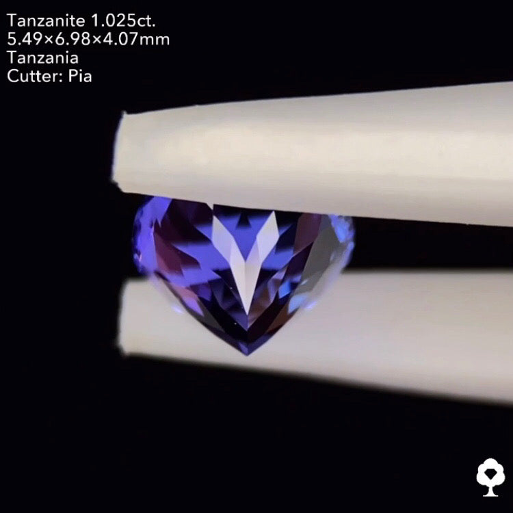 8/13(土)21:30終了‼️2ステップで構成されたお手本のような極美色オーバル★タンザナイト1.025ct. オーバル ピアッちゃん作品