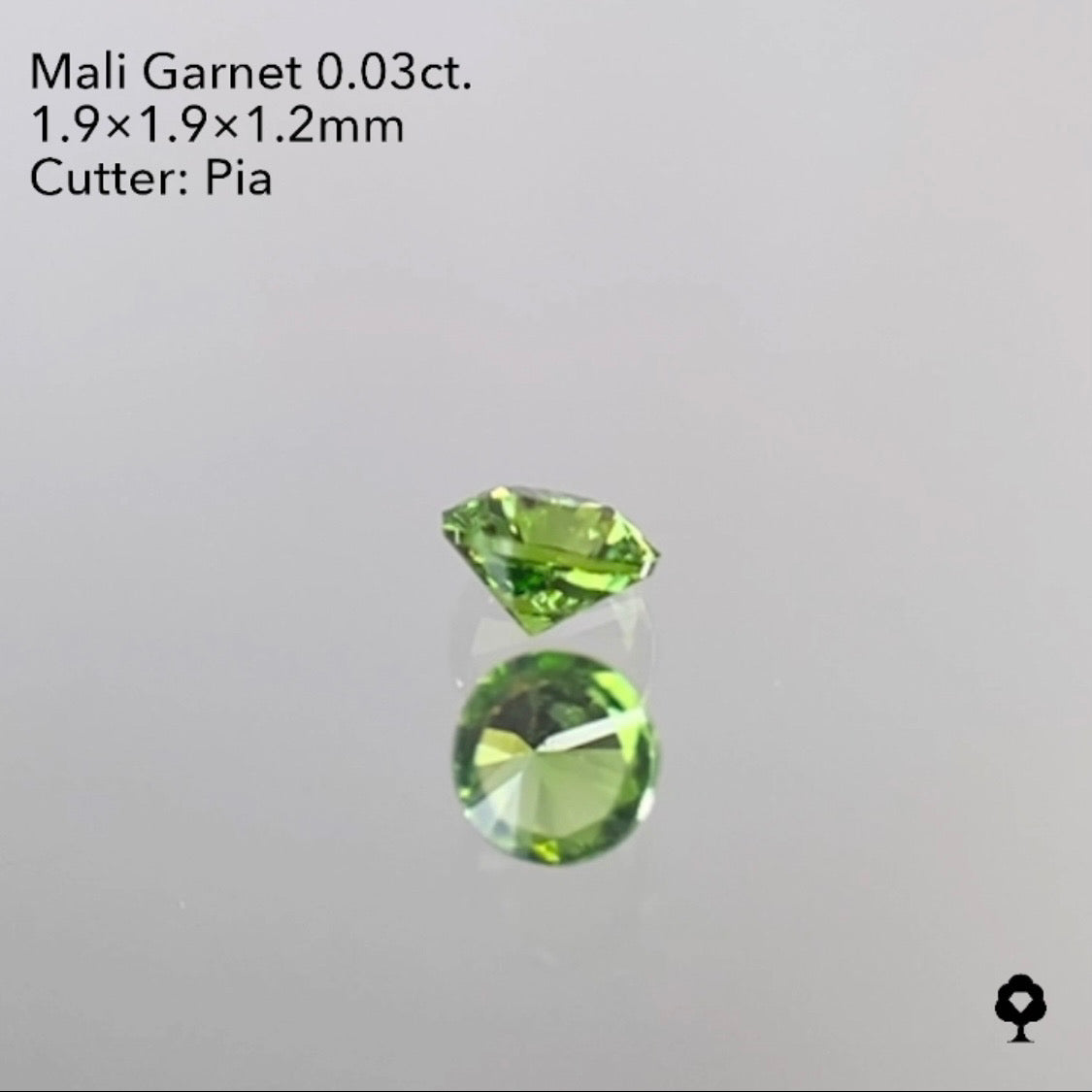 【SOLD OUT】マリガーネット 0.03ct  1/29ライブご紹介作品