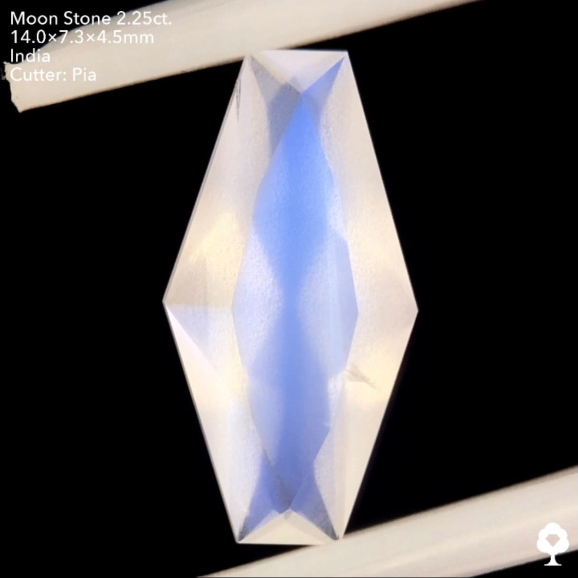 6/12(日)22:00終了‼️テーブルから溢れ出すブルーシラーと幻想的な石質のカッコいいファンシーカイト★ムーンストーン2.25ct. ピアッちゃん作品