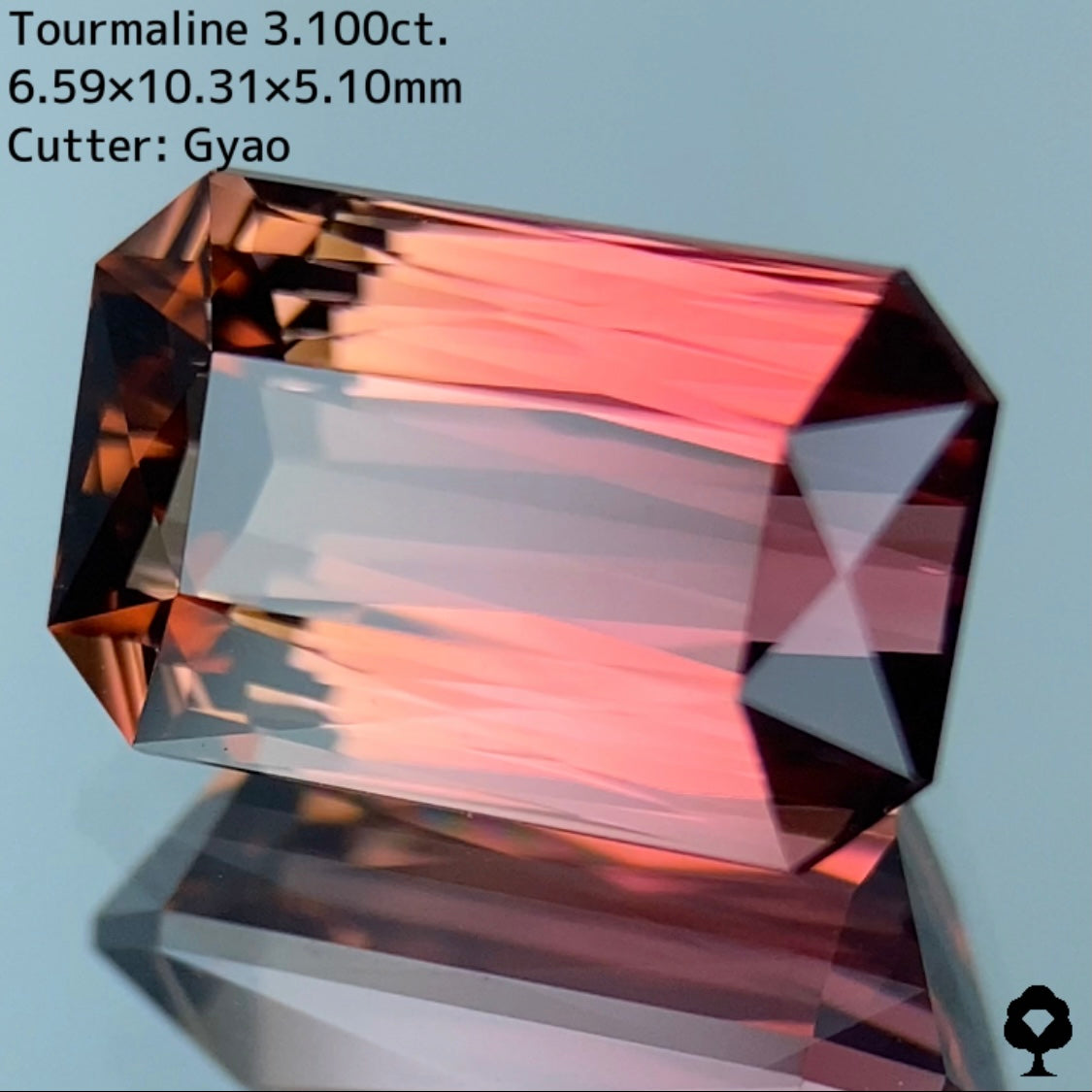 大人可愛いピンクからゴールドへのグラデーションにシザースの圧倒的な輝き★トルマリン 3.100ct
