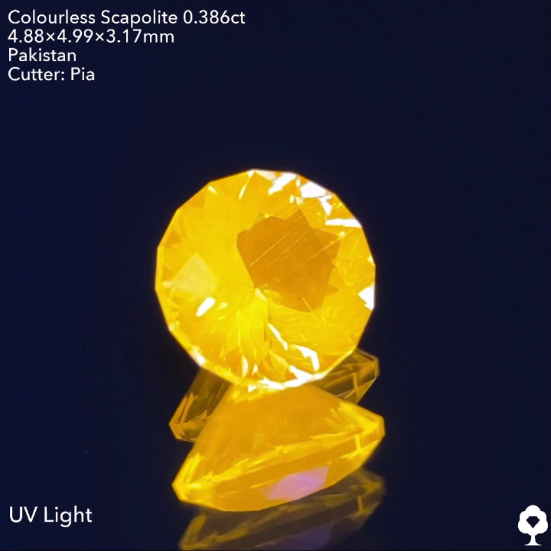 お客さま専用【GTJウェブサイト個展プライス】蛍光反応によって太陽になる美しきファンシーラウンドには面白い針インクル★スキャポライト0.386ct ピアッちゃん作品