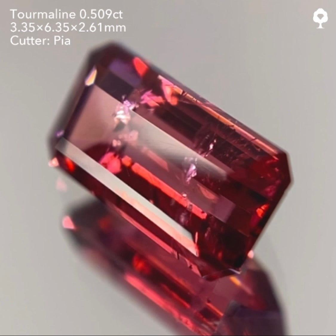 【サイレン配信逆オークション】トルマリン0.509ct ピアッちゃん作品