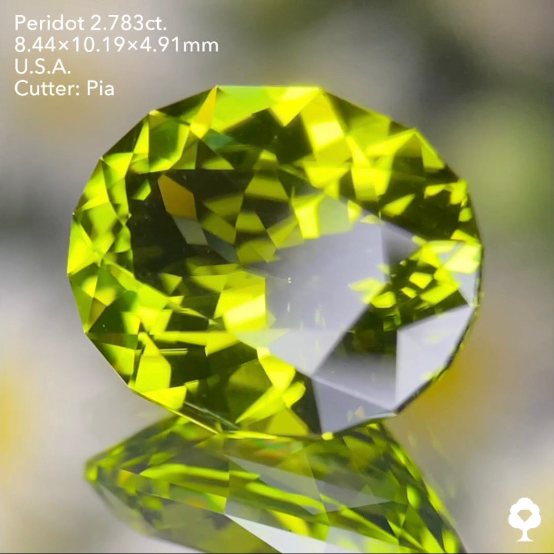 【5万円スタート❗️2023カウントダウン逆オークション】美色高品質のコレぞピアッちゃんの王道ファンシーオーバル★ペリドット2.783ct. アメリカ産 ピアッちゃん作品