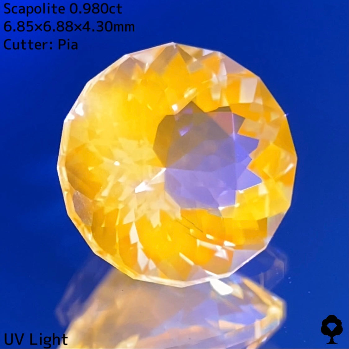 【高級プチプラ】スキャポライト 0.980ct