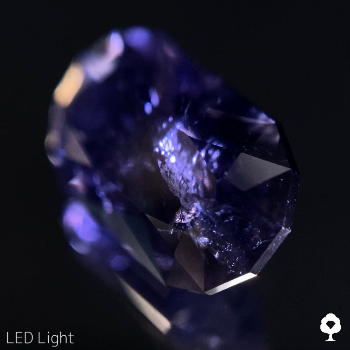 【ご落札者さま専用】アイオライト2.37ct ピアッちゃん作品 5/20オークション