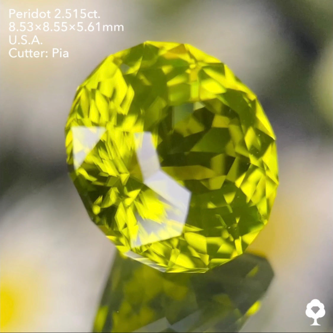 抹茶のようなシルキー感あるテーブル8角形の2段縁取り新カット★ペリドット2.515ct. アメリカ産 ピアッちゃん作品