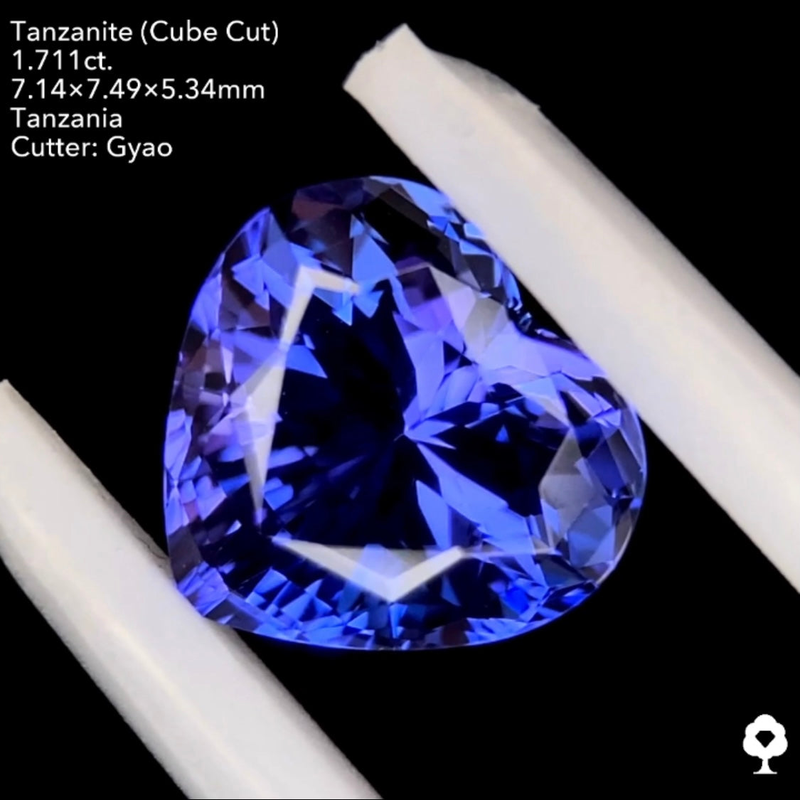 タンザナイト1.711ct. 変則キューブハートシェイプ ゲオちゃん作品