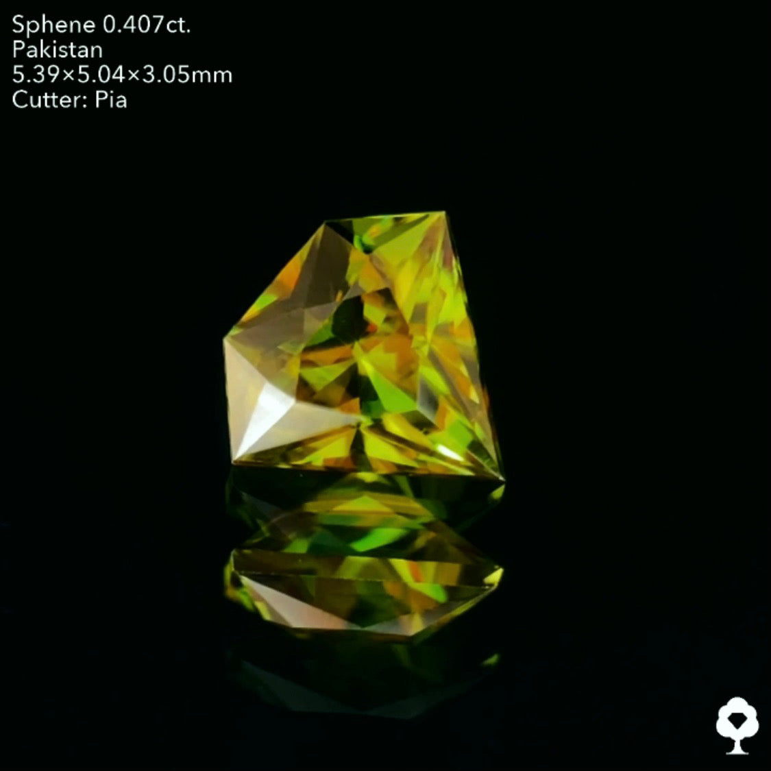 濃色でありながら暗すぎない最高のバランスの宝石形★パキスタンスフェーン0.407ct. ピアッちゃん作品