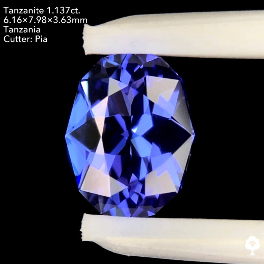 タンザナイト1.137ct. ファンシーオーバル ピアッちゃん作品