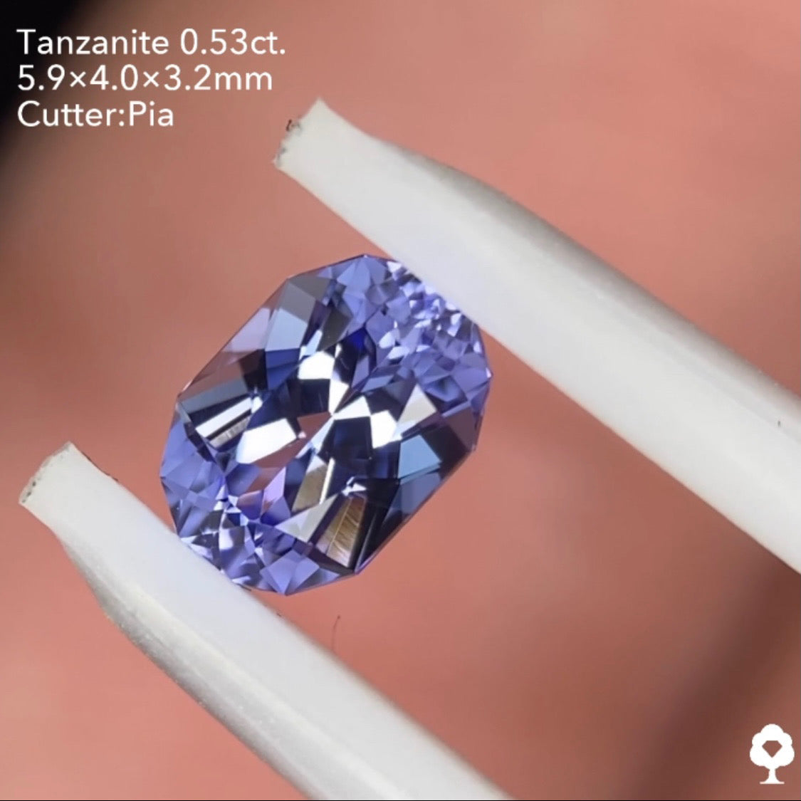 【ErhuAchuさんご当選】タンザナイト0.53ct ピアッちゃん作品