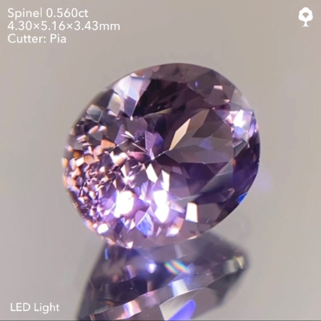 【23時終了‼️サンドウィッチオークション】潤めく美秋色を先取り🍂🍇🍁ブラウニッシュパープルスピネル0.560ct ピアッちゃん作品