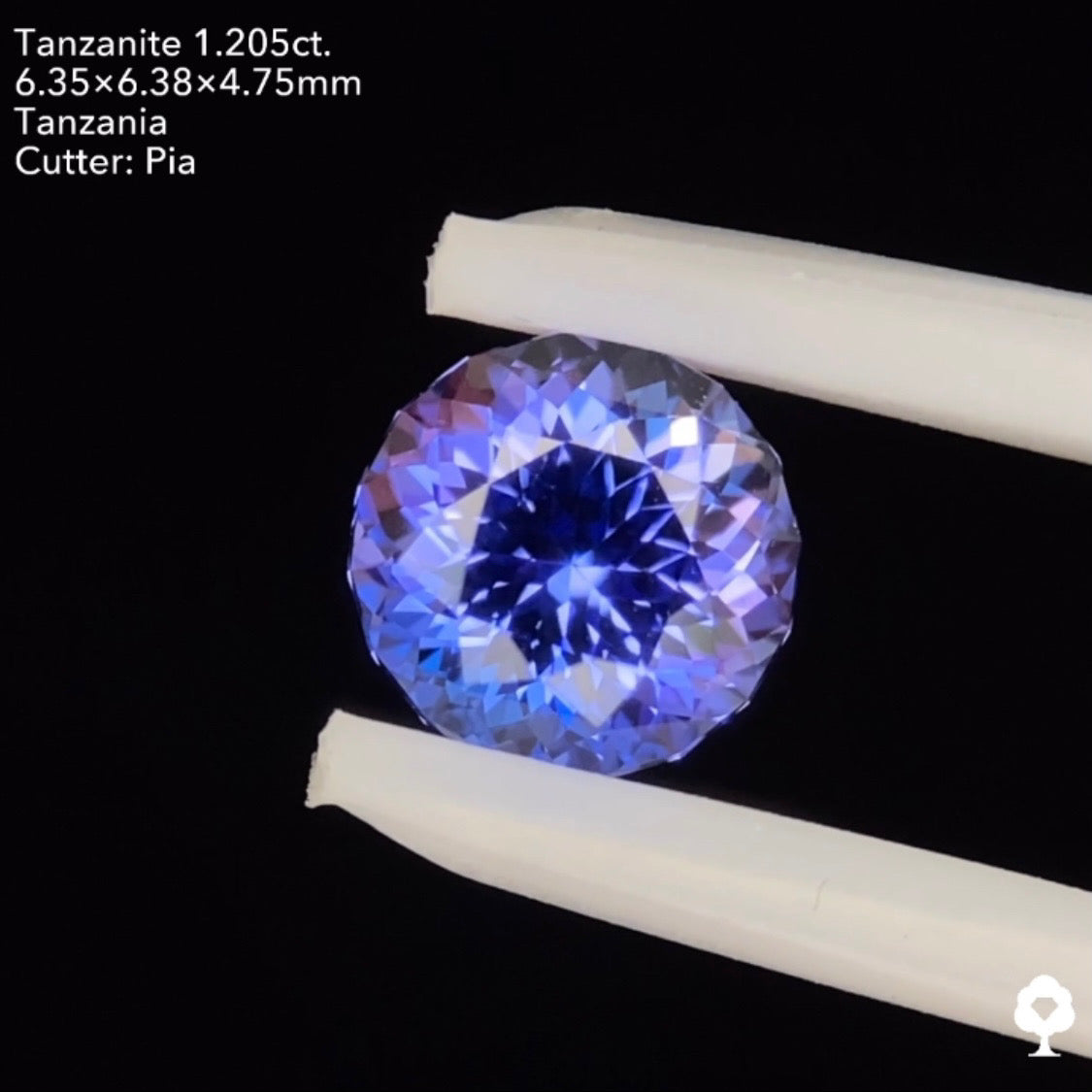 タンザナイト1.205ct. ファンシーラウンド ピアッちゃん作品