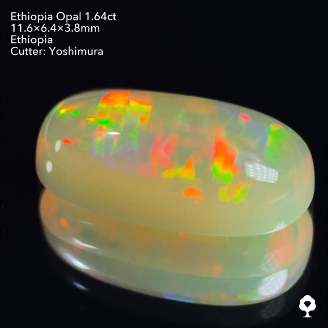 実はハニカムも浮かぶコッペパンのような可愛い形に登る遊色★エチオピアオパール1.64ct 吉村作品