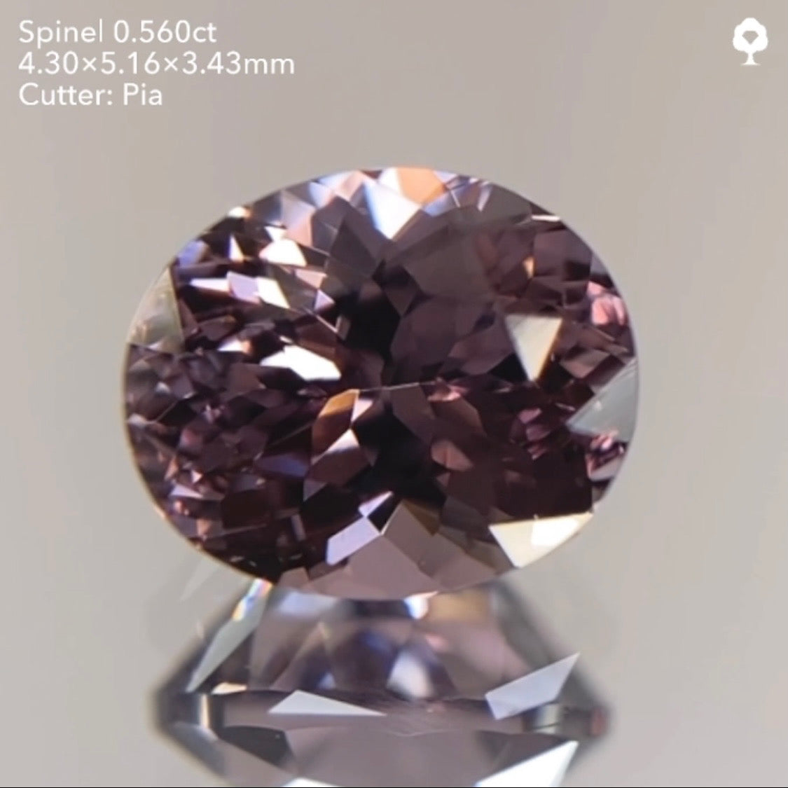 【23時終了‼️サンドウィッチオークション】潤めく美秋色を先取り🍂🍇🍁ブラウニッシュパープルスピネル0.560ct ピアッちゃん作品