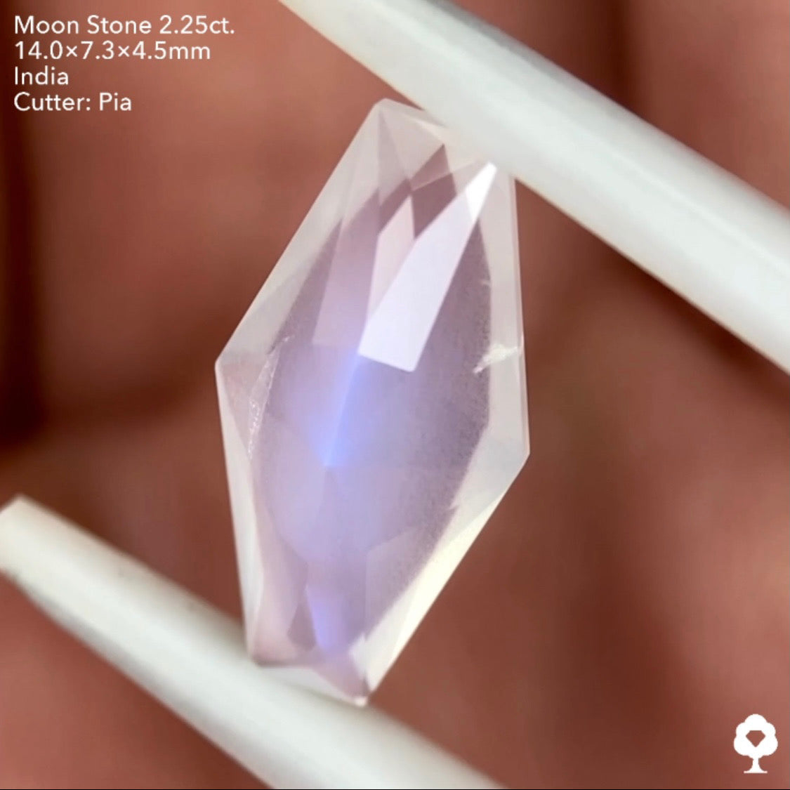 6/12(日)22:00終了‼️テーブルから溢れ出すブルーシラーと幻想的な石質のカッコいいファンシーカイト★ムーンストーン2.25ct. ピアッちゃん作品