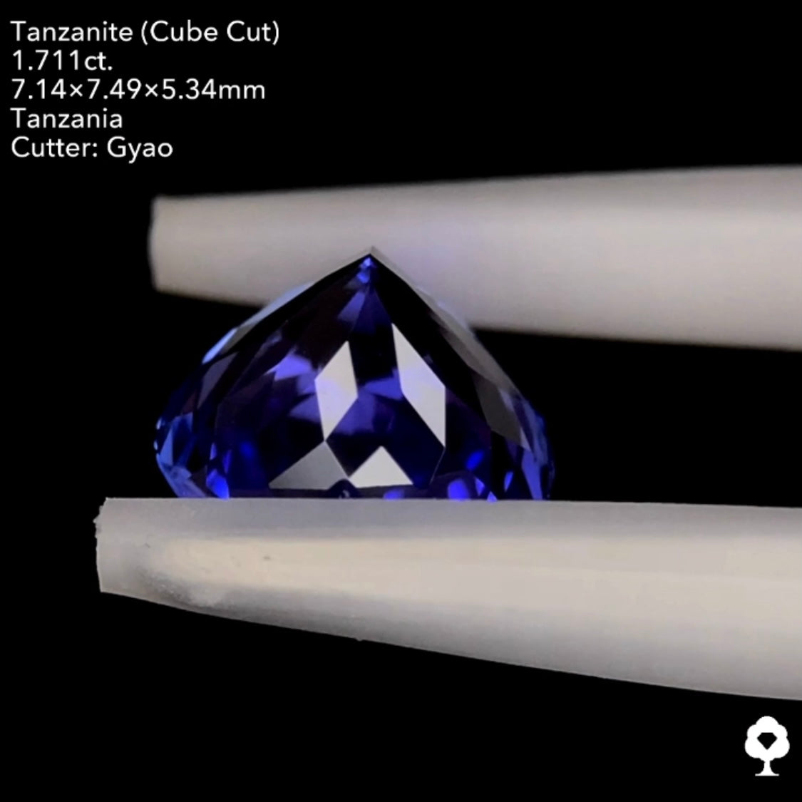 タンザナイト1.711ct. 変則キューブハートシェイプ ゲオちゃん作品