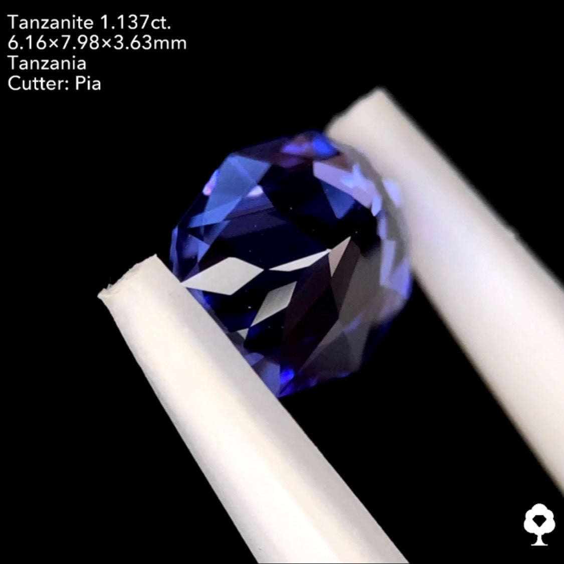 タンザナイト1.137ct. ファンシーオーバル ピアッちゃん作品