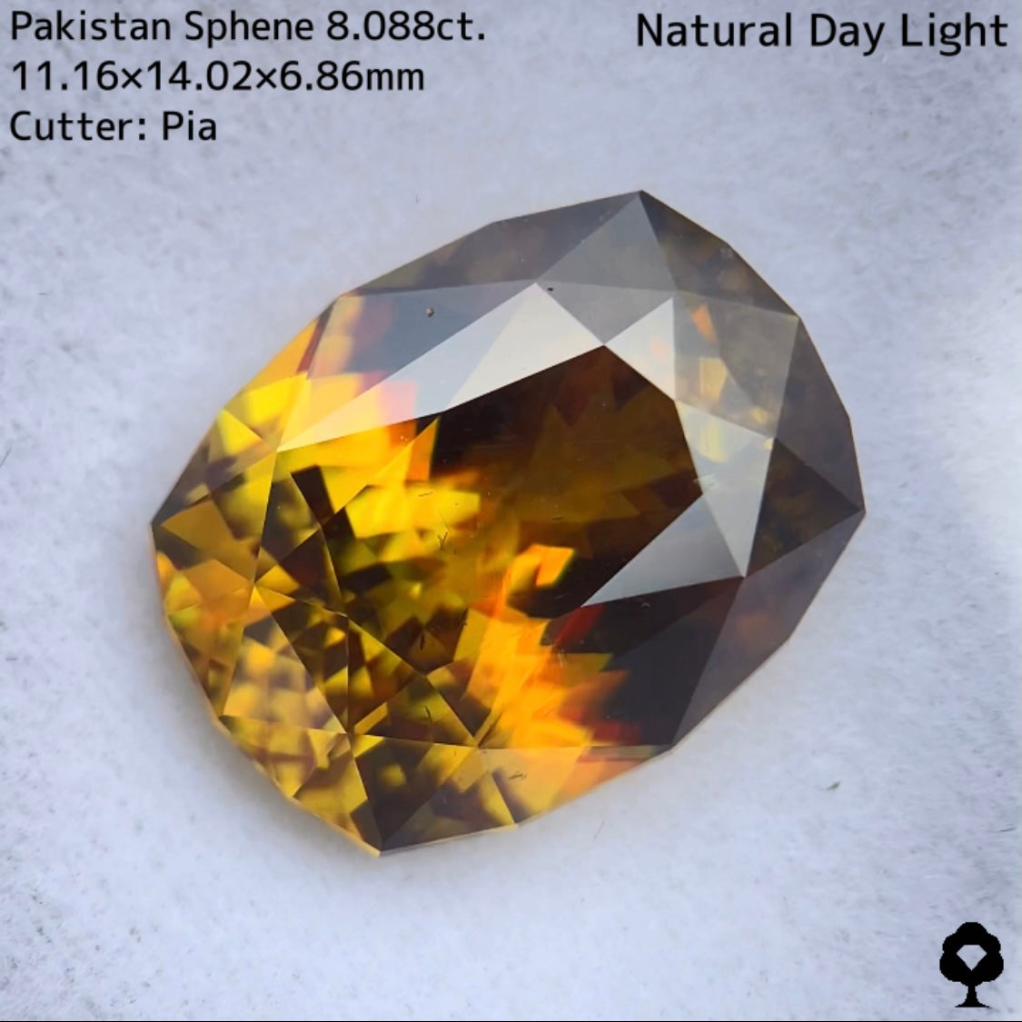 パキスタンスフェーン8.088ctオレンジ煌めきとグリーンを含む貫禄あるパキスタンゴールド★