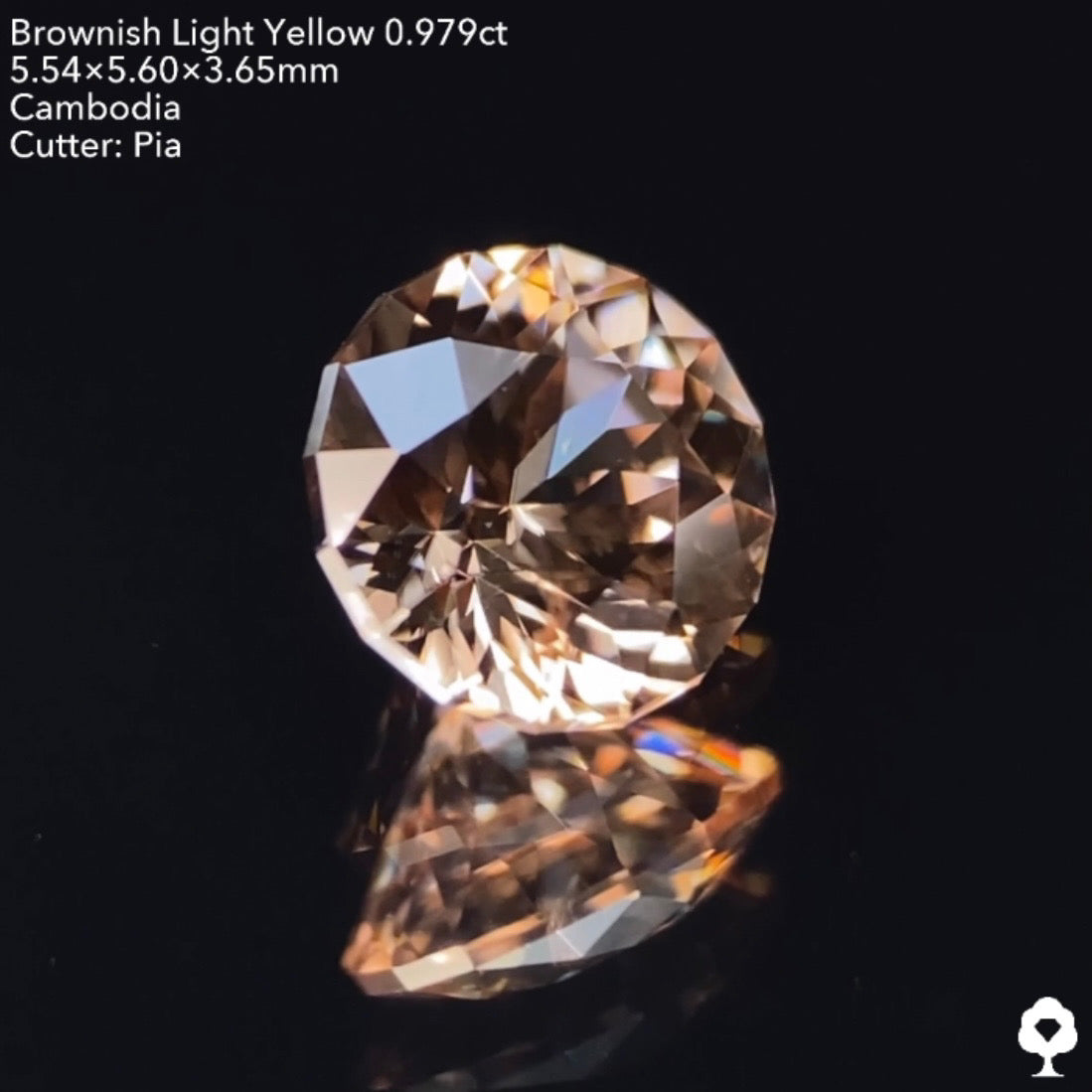 【GTJウェブサイト個展プライス】絶妙な色合いで強烈な輝きのファンシーラウンド★ジルコン0.976ct ピアッちゃん作品