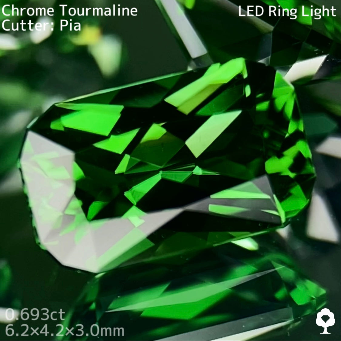 【高級プチプラ】クロムトルマリン 0.693ct