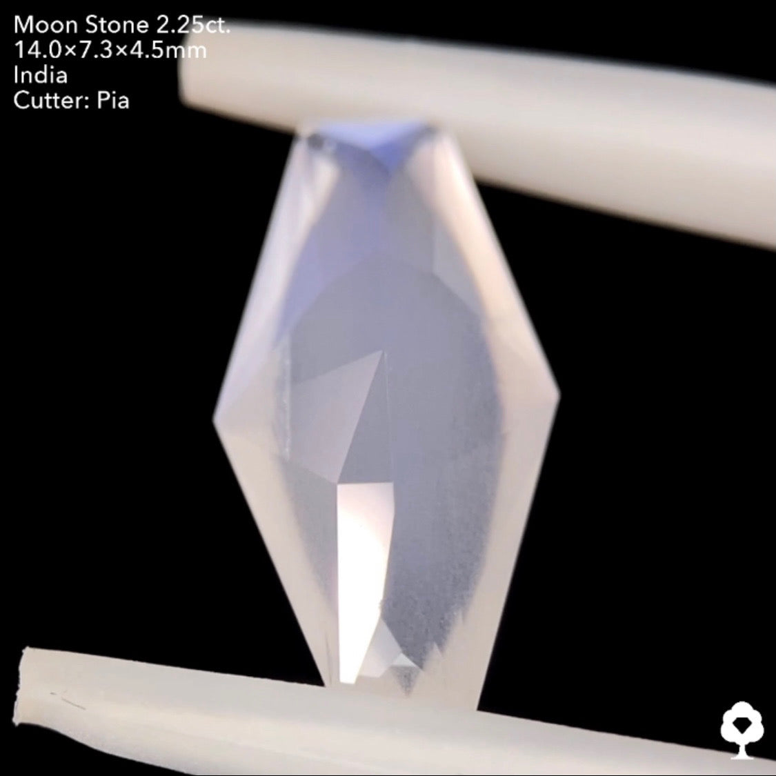 6/12(日)22:00終了‼️テーブルから溢れ出すブルーシラーと幻想的な石質のカッコいいファンシーカイト★ムーンストーン2.25ct. ピアッちゃん作品