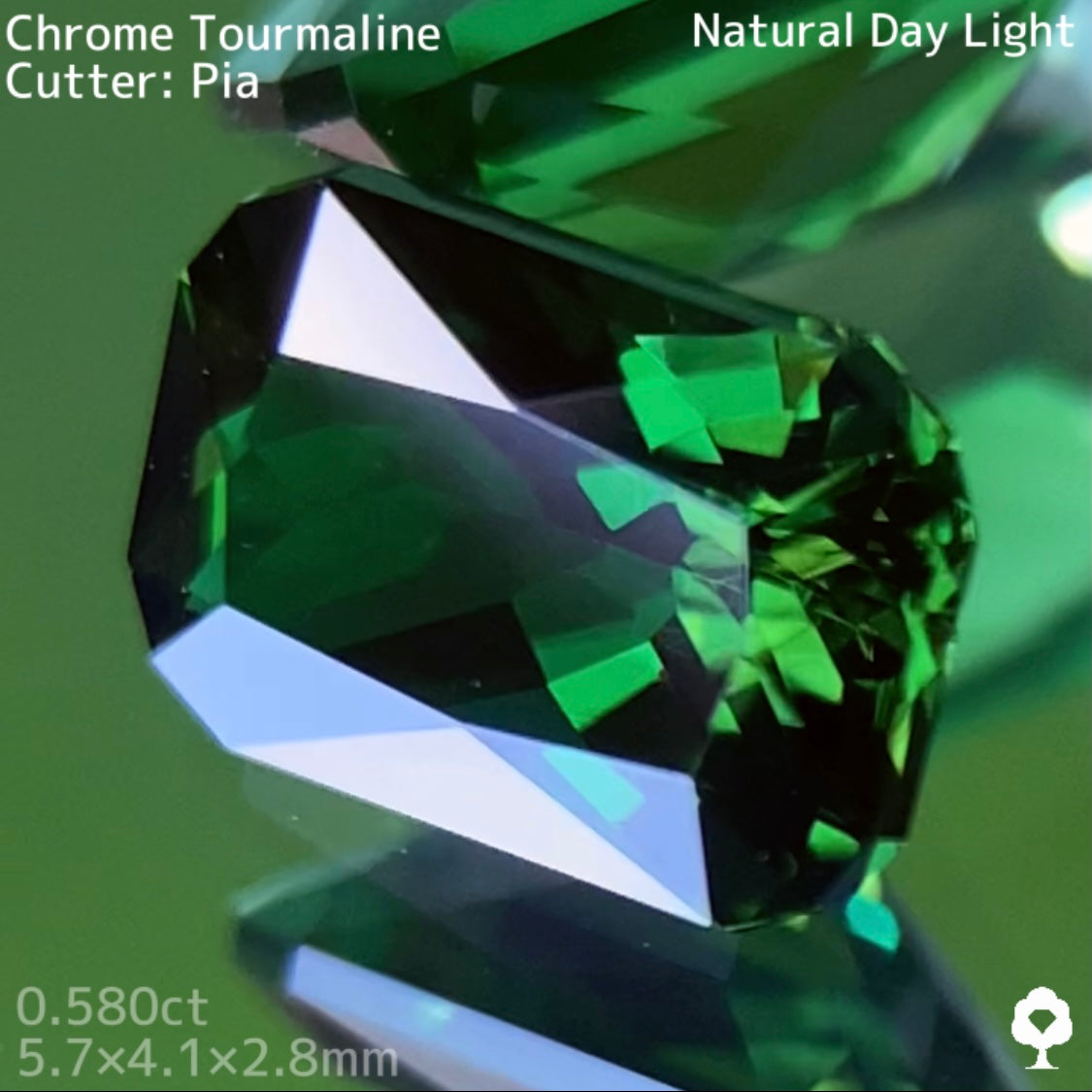 水スタ / ZB 3枚迄使用可【5/17 19時 - 5/21 21時】クロムトルマリン 0.580ct