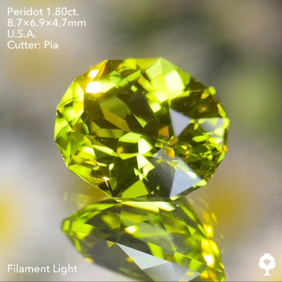 【お客さま専用・誕生石プレゼント】ペリドット1.80ct ピアッちゃん作品