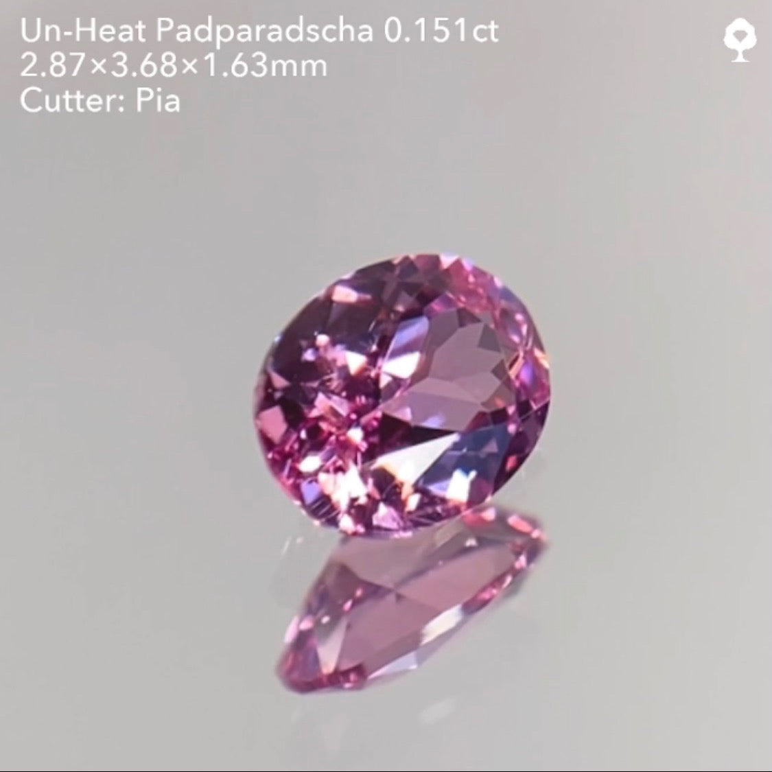 【SOLD OUT】非加熱パパラチァサファイア0.151ct/ピアッちゃん作品 ★11/11ハラキリ1円オークションライブ★クーポンはごめんなさい🙇♂️