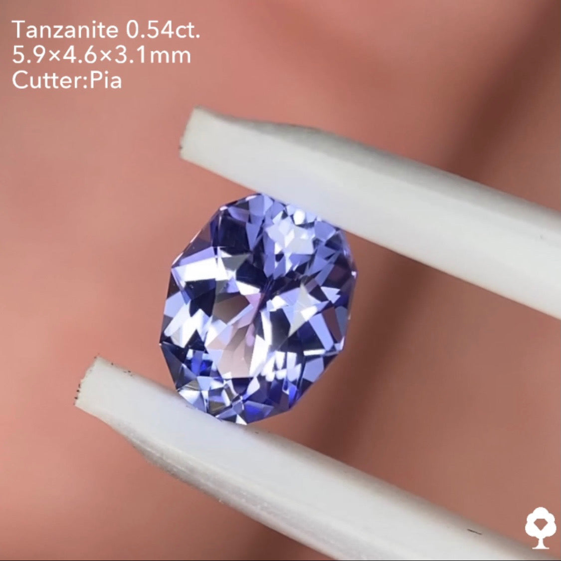 【月光さんご当選】タンザナイト0.54ct ピアッちゃん作品