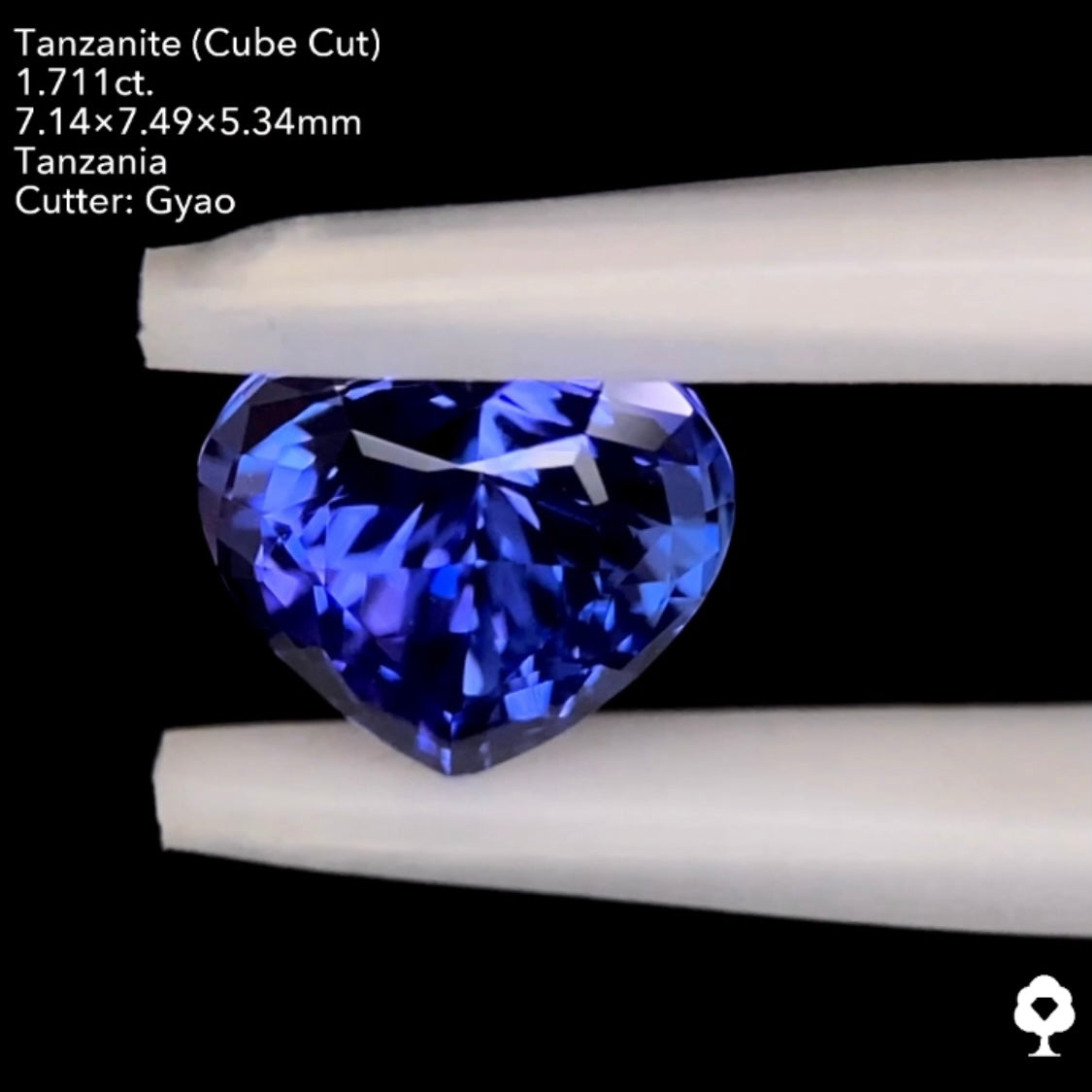 タンザナイト1.711ct. 変則キューブハートシェイプ ゲオちゃん作品