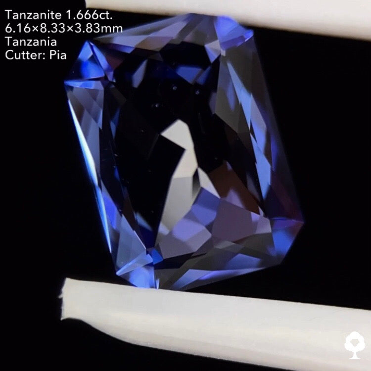 タンザナイト1.666ct. オクタゴン ピアッちゃん作品