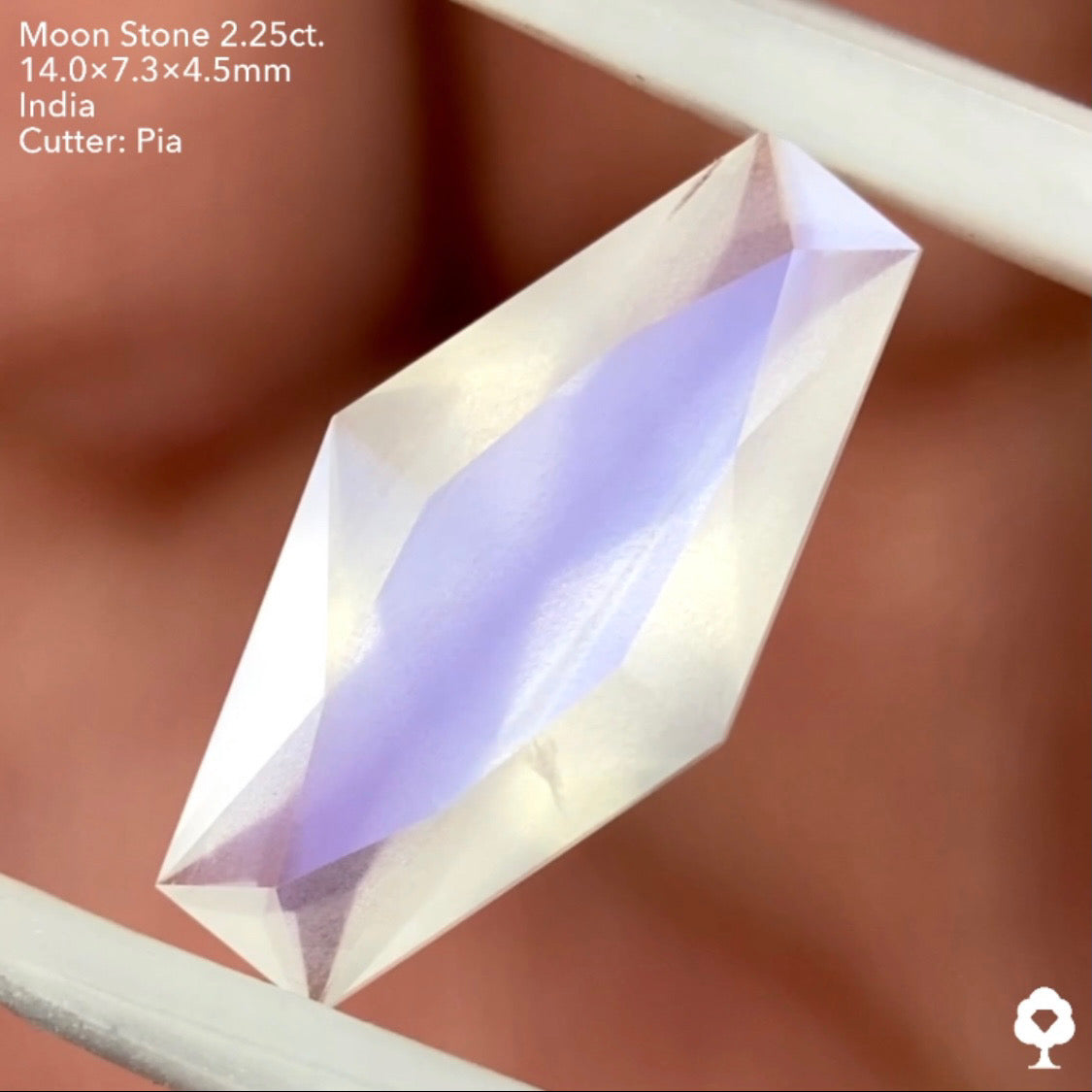 6/12(日)22:00終了‼️テーブルから溢れ出すブルーシラーと幻想的な石質のカッコいいファンシーカイト★ムーンストーン2.25ct. ピアッちゃん作品