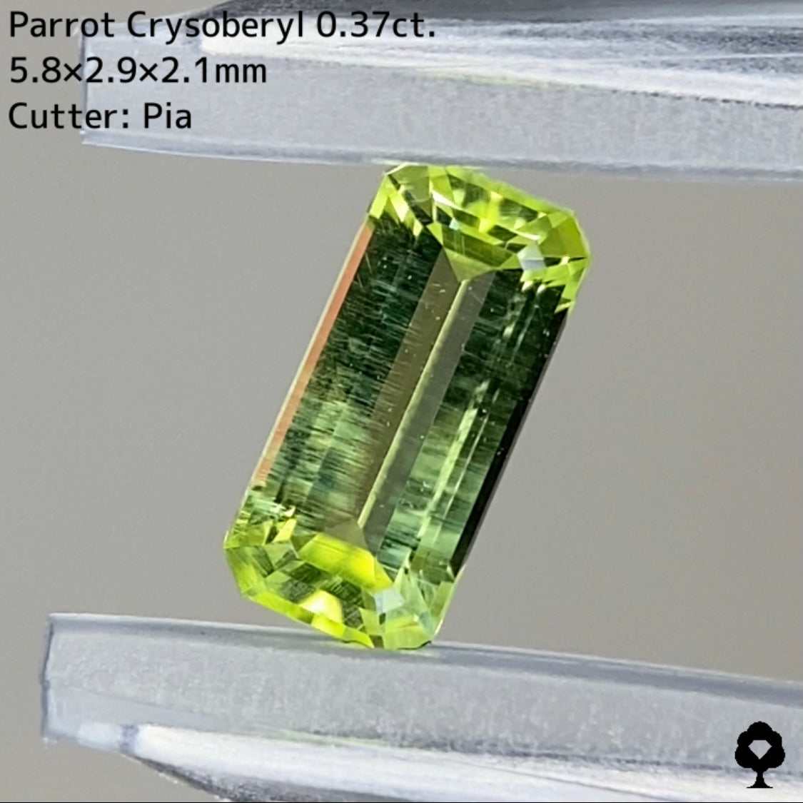 パロットクリソベリル 0.37ct
