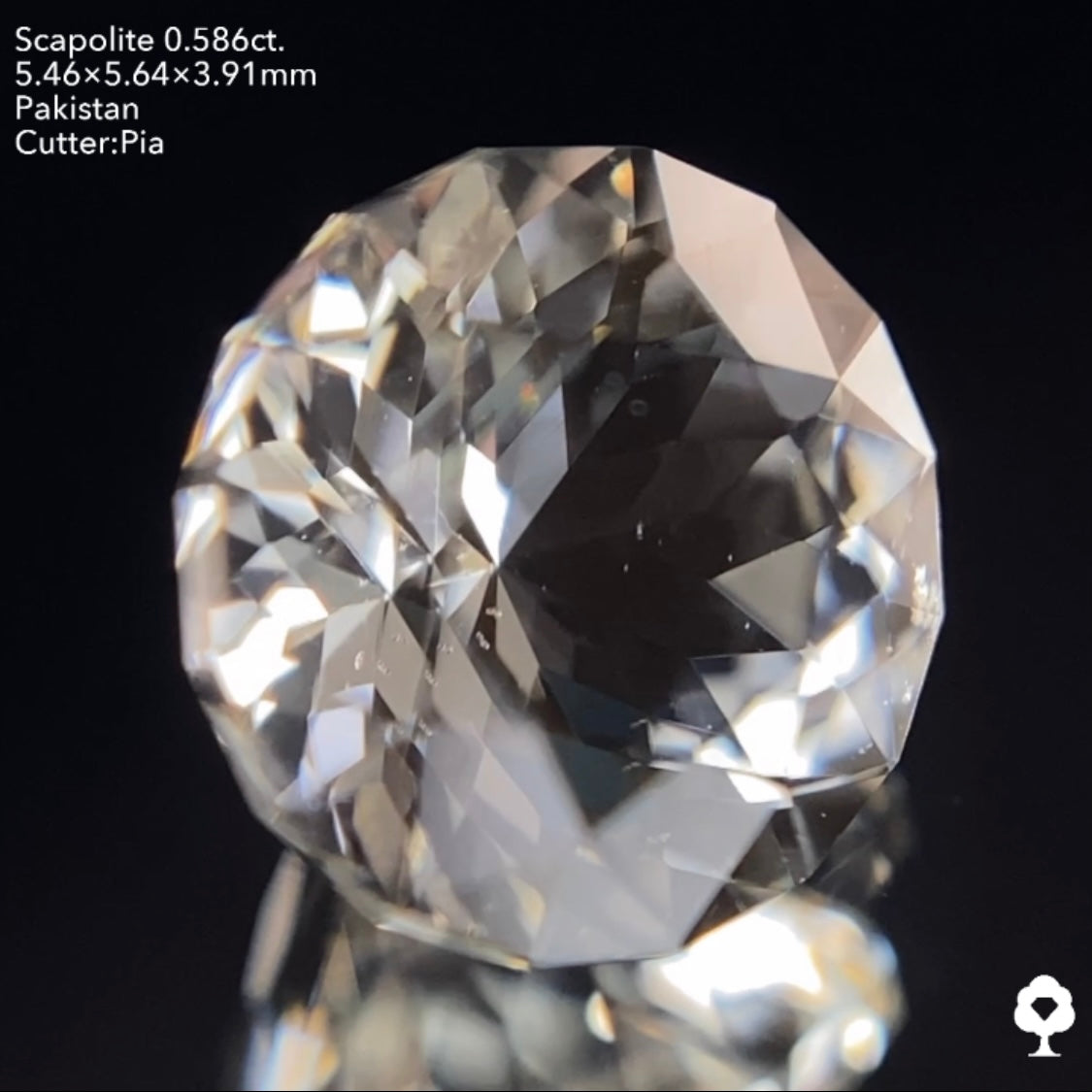 ギラギララウンドが蛍光して美しいたんぽぽになる★スキャポライト0.586ct ピアッちゃん作品