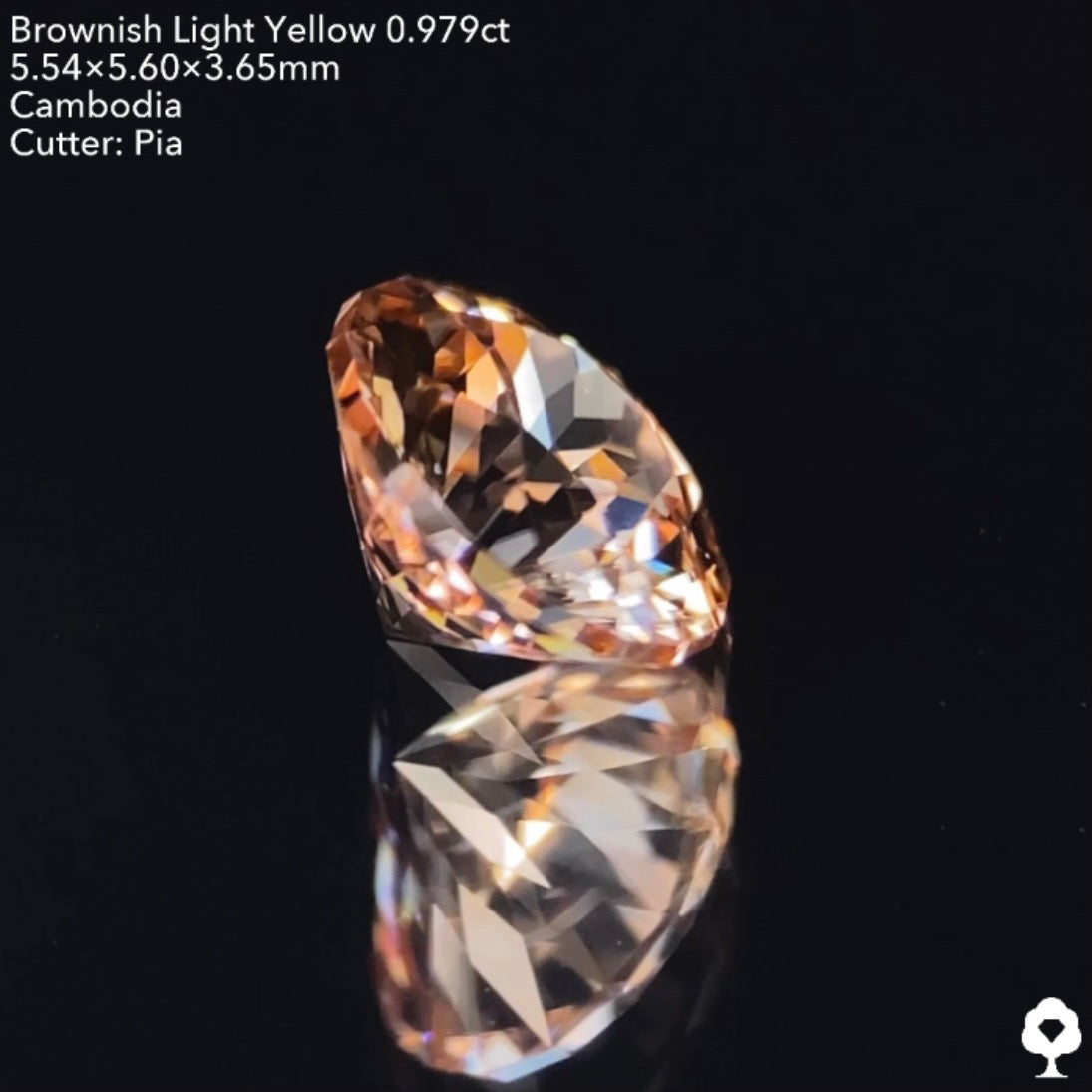 【GTJウェブサイト個展プライス】絶妙な色合いで強烈な輝きのファンシーラウンド★ジルコン0.976ct ピアッちゃん作品