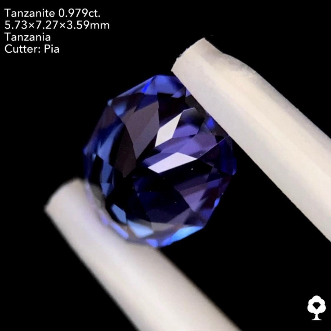タンザナイト0.979ct. ファンシーオーバル ピアッちゃん作品