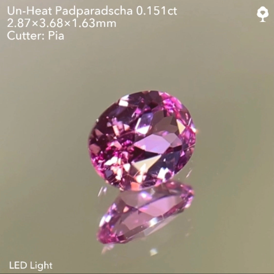 【SOLD OUT】非加熱パパラチァサファイア0.151ct/ピアッちゃん作品 ★11/11ハラキリ1円オークションライブ★クーポンはごめんなさい🙇♂️