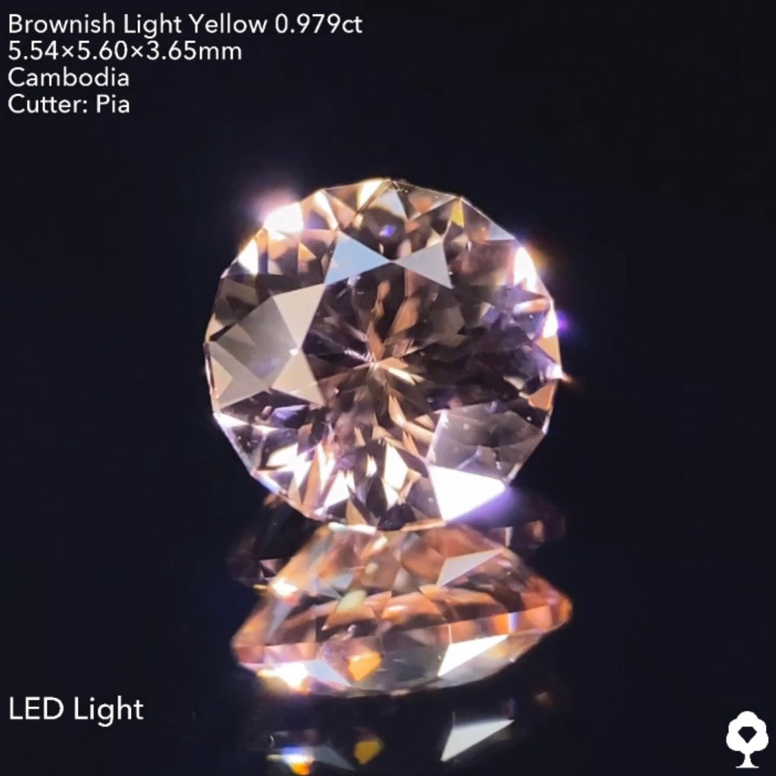 【GTJウェブサイト個展プライス】絶妙な色合いで強烈な輝きのファンシーラウンド★ジルコン0.976ct ピアッちゃん作品