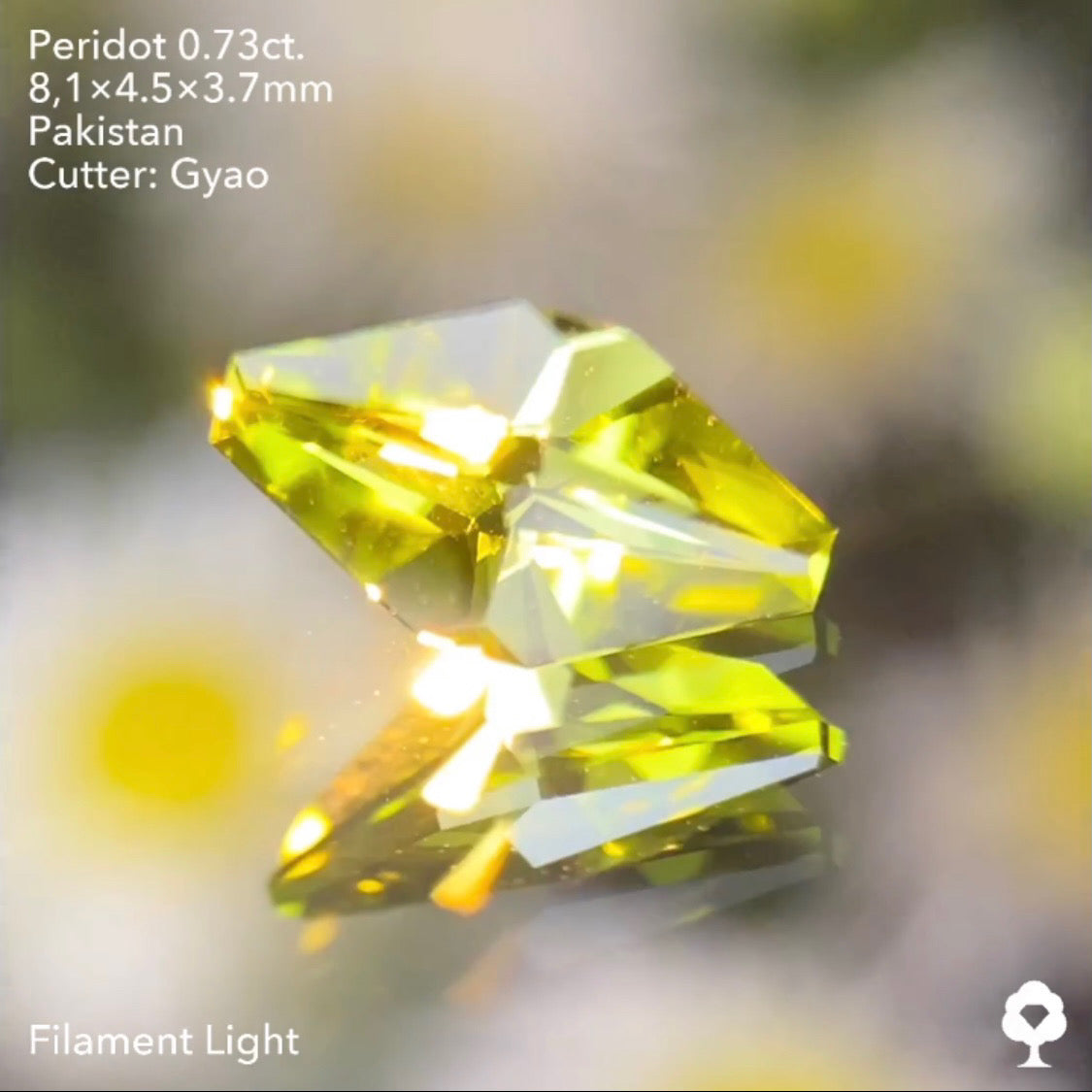 点対象の独創的すぎるゲオちゃんファンシーカイトペリドット0.73ct パキスタン産 ゲオちゃん作品