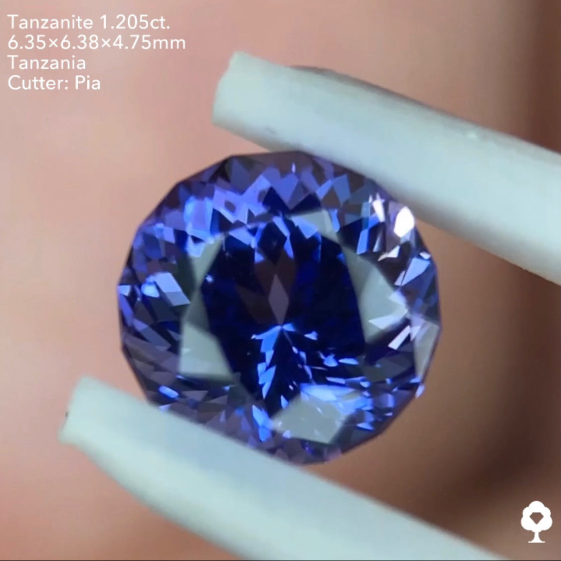 タンザナイト1.205ct. ファンシーラウンド ピアッちゃん作品