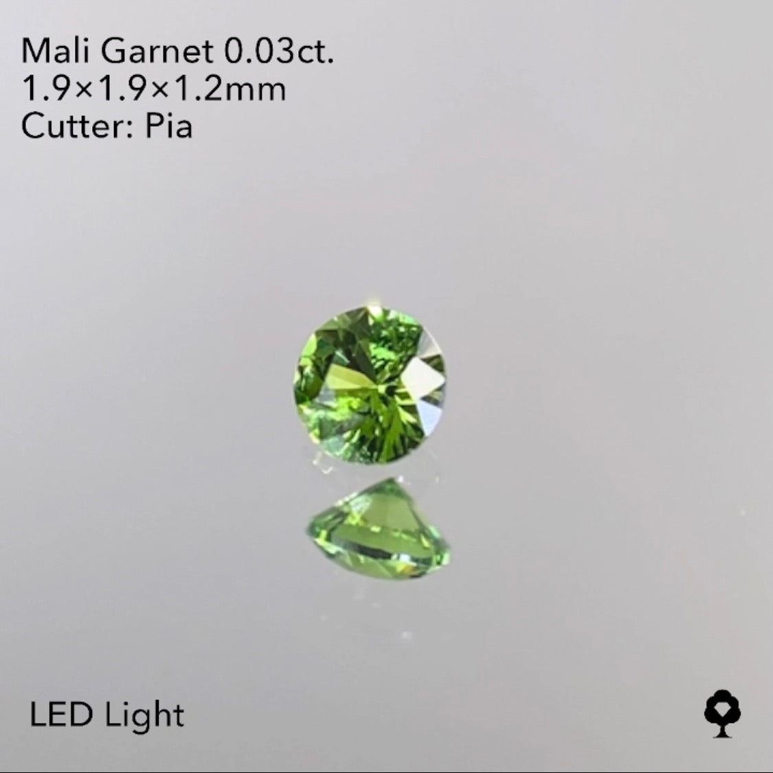 【SOLD OUT】マリガーネット 0.03ct  1/29ライブご紹介作品