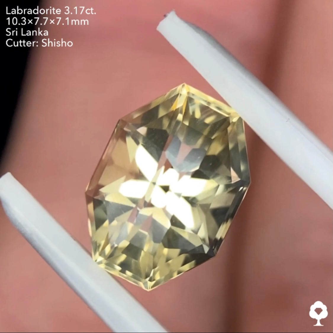【このカット残り1石】盾のようなテーブルなしの独創的カット★ゴールデンラブラドライト3.17ct. 師匠作品