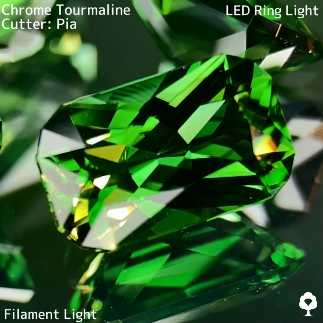 【高級プチプラ】クロムトルマリン 0.693ct