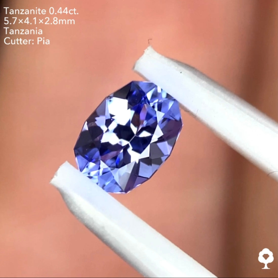 【本日22:00終了‼️】タンザナイト 0.44ct. ファンシーオーバル ピアッちゃん作品