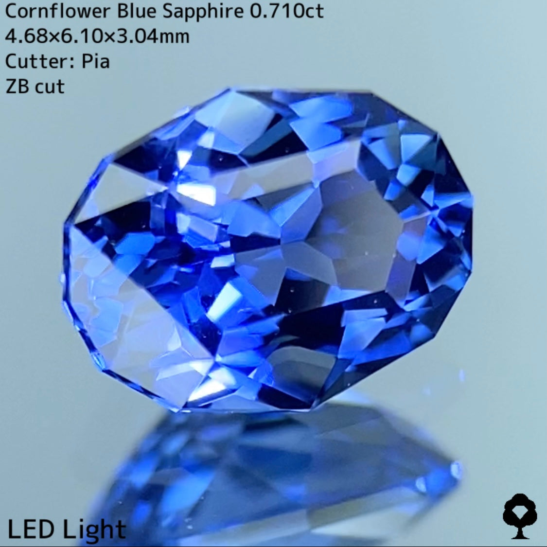 【3/25(土)21:00終了‼️】宝石の形がテーブルを囲むオリジナルカットの入った美色スリランカ産★コーンフラワーブルーサファイア0.710ct 【ZBカット】