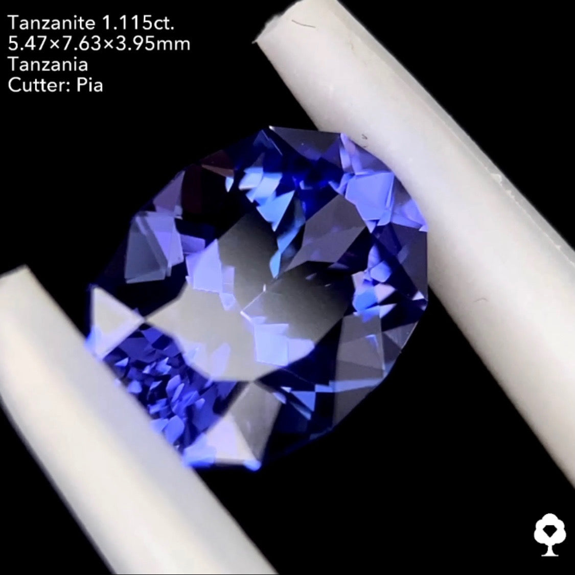 タンザナイト1.115ct. ファンシーオーバル ピアッちゃん作品